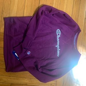 Champion pullover hoodie NWT
